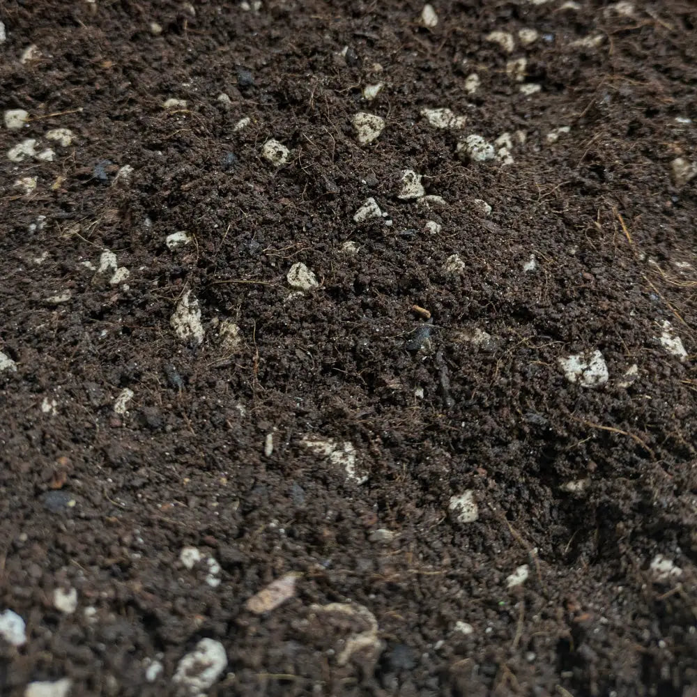 Ecothrive Living Soil