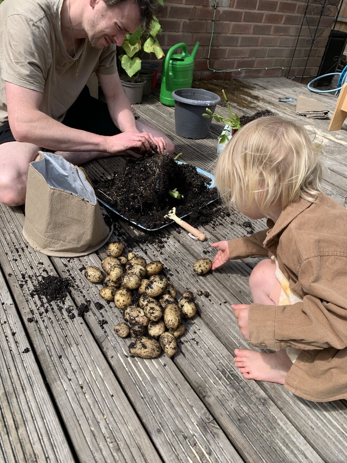 Joe Barrington, founder of Dr Forest, tipping out a fabric grow bag of home-grown potatoes on his garden decking