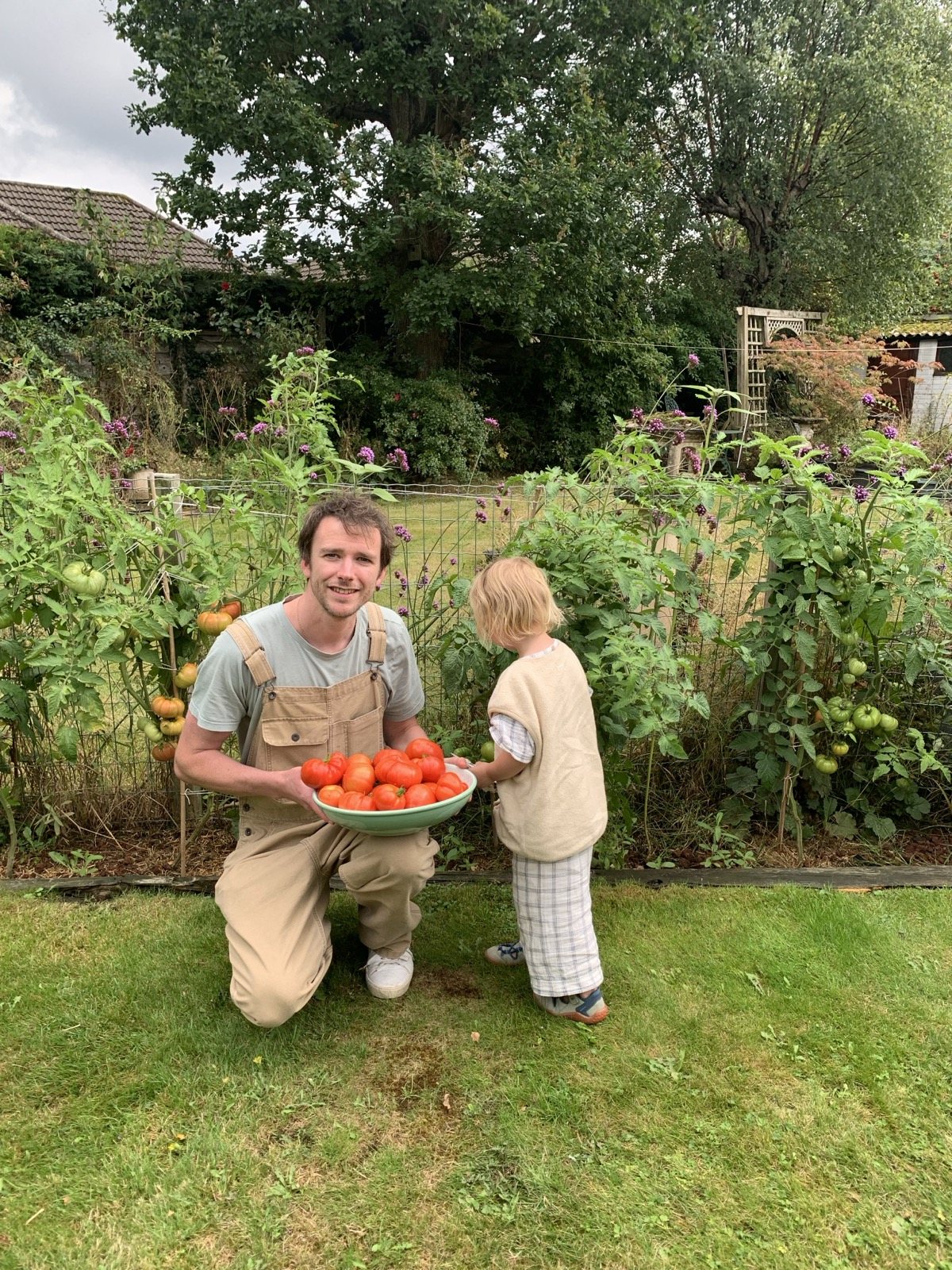Joe Barrington, founder of Dr Forest, kneeling in his garden with a bowl of home-grown tomatoes, tomato plants behind him