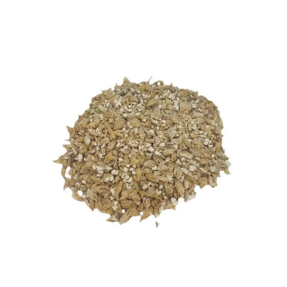 Organic Malted Barley — pile of pale-gold cracked malted barley grains