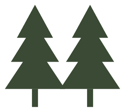 Dr Forest