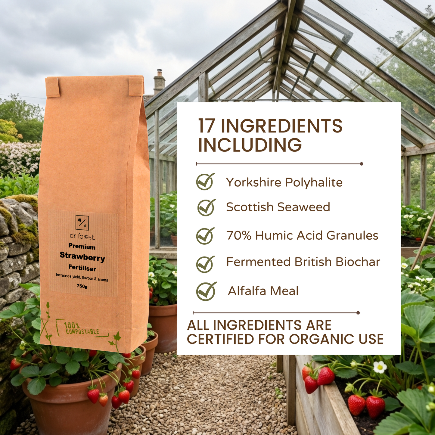 *New* Premium Strawberry Fertiliser | Slow Release Plant Food | High Flavour & Aroma by Dr Forest Dr Forest