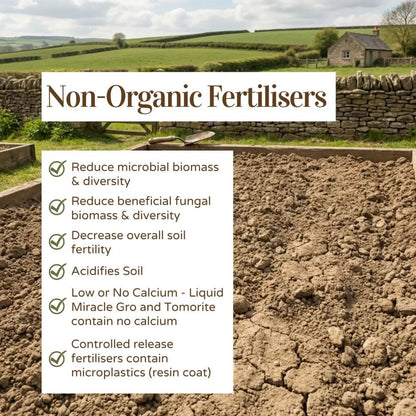 Organic Fruit & Vegetable Fertiliser — Non-Organic Fertilisers graphic listing harms over dry cracked field