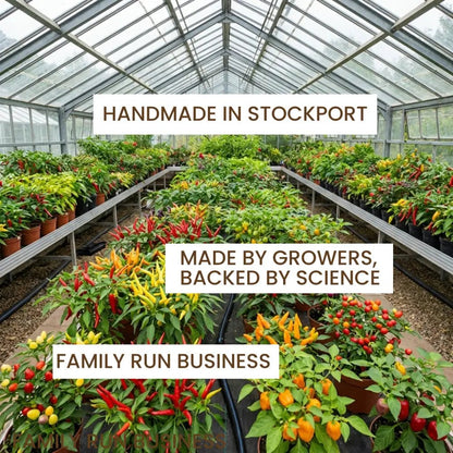 Organic Fruit & Vegetable Fertiliser — chilli greenhouse interior, claims: Handmade in Stockport, Made by Growers, Family Run