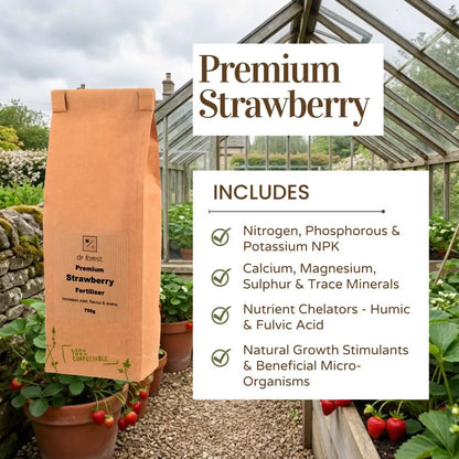 Organic Strawberry Fertiliser — Includes infographic: kraft Premium Strawberry Fertiliser 750g bag beside glasshouse with strawberry plants