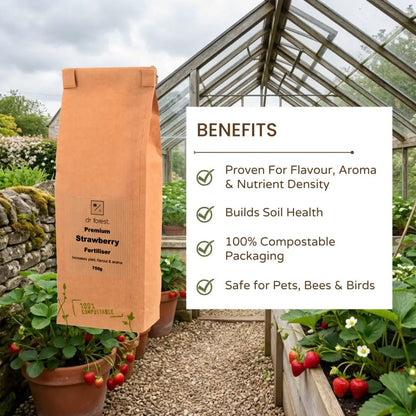 Organic Strawberry Fertiliser — 17 Ingredients graphic: polyhalite, seaweed, humic granules, biochar, alfalfa meal
