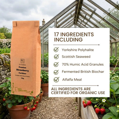 Organic Strawberry Fertiliser — Premium graphic with kraft bag, Includes: NPK, Ca/Mg, humic/fulvic, stimulants